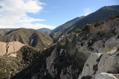 DSC_6287 (Large).JPG